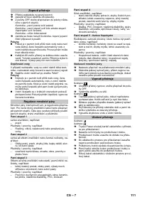 Страница 111
