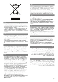 Страница 55