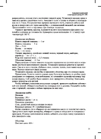 Страница 21