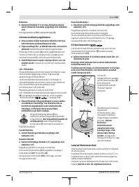 Страница 239