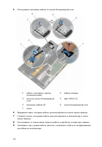 Страница 55
