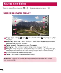 Страница 258