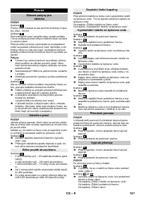 Страница 121
