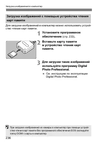 Страница 239