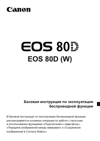Страница 250