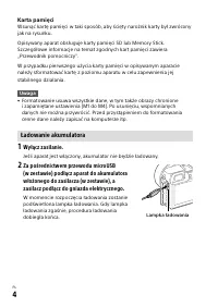 Strona 6