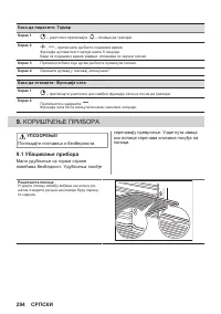 Страница 294