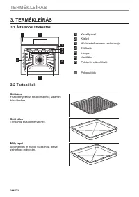 Страница 244