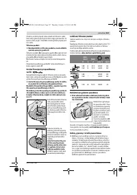 Страница 256