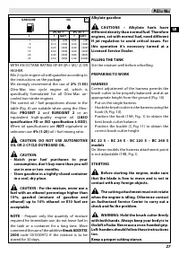 Страница 31