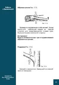 Страница 31