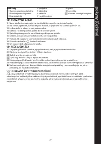 Страница 27