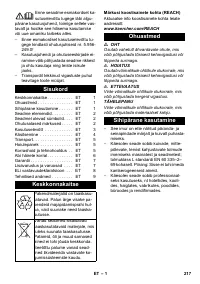Страница 217