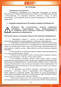 Страница 13