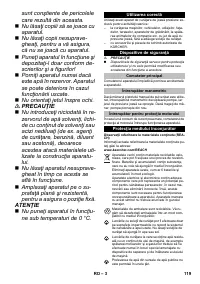 Страница 119