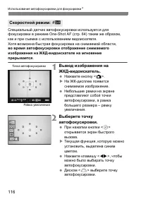 Страница 116