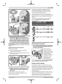 Страница 259
