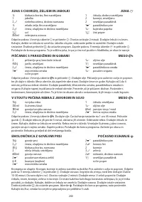 Страница 240