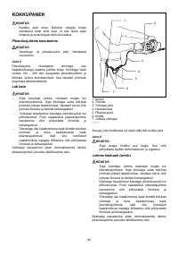 Страница 43