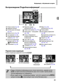 Страница 43
