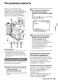 Страница 43