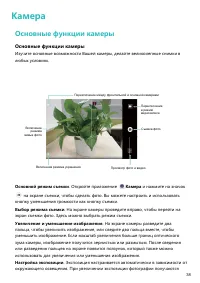 Страница 42
