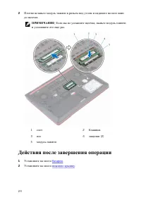 Страница 25