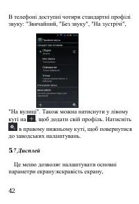 Страница 43
