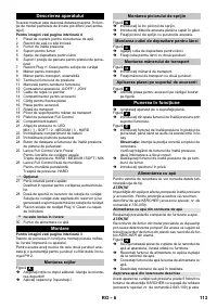 Страница 113