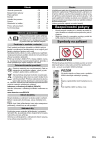 Страница 115