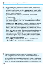 Страница 246