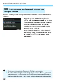 Страница 384