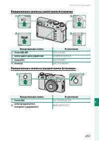 Страница 271