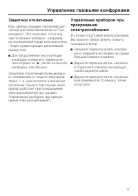 Страница 17