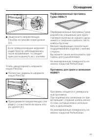 Страница 31