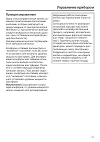 Страница 31