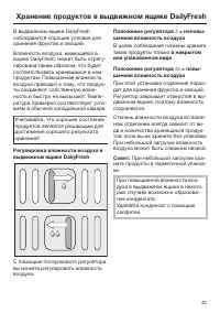 Страница 43