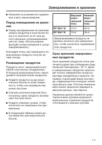 Страница 111