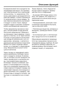 Страница 31