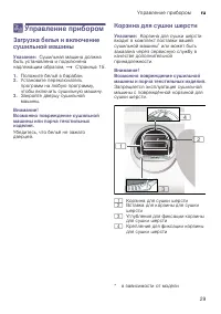 Страница 29