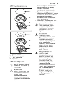 Страница 29