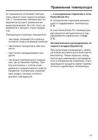 Страница 43