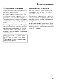 Страница 43
