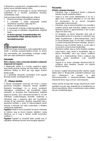 Страница 111