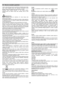 Страница 25