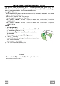 Страница 111