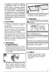 Страница 107
