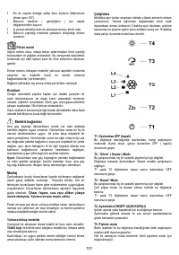 Страница 101