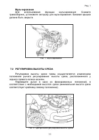 Страница 11