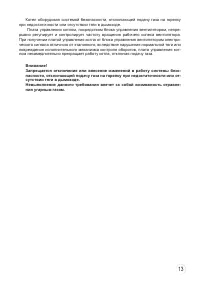 Страница 13